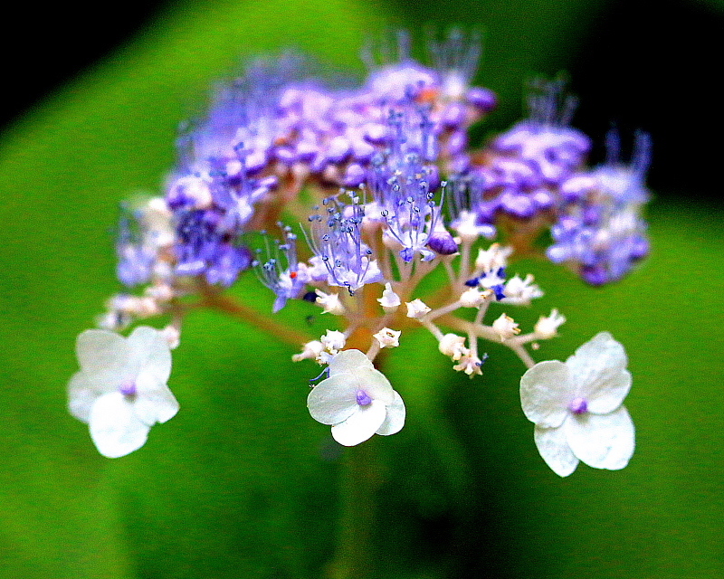 c0305565_17510639.jpg