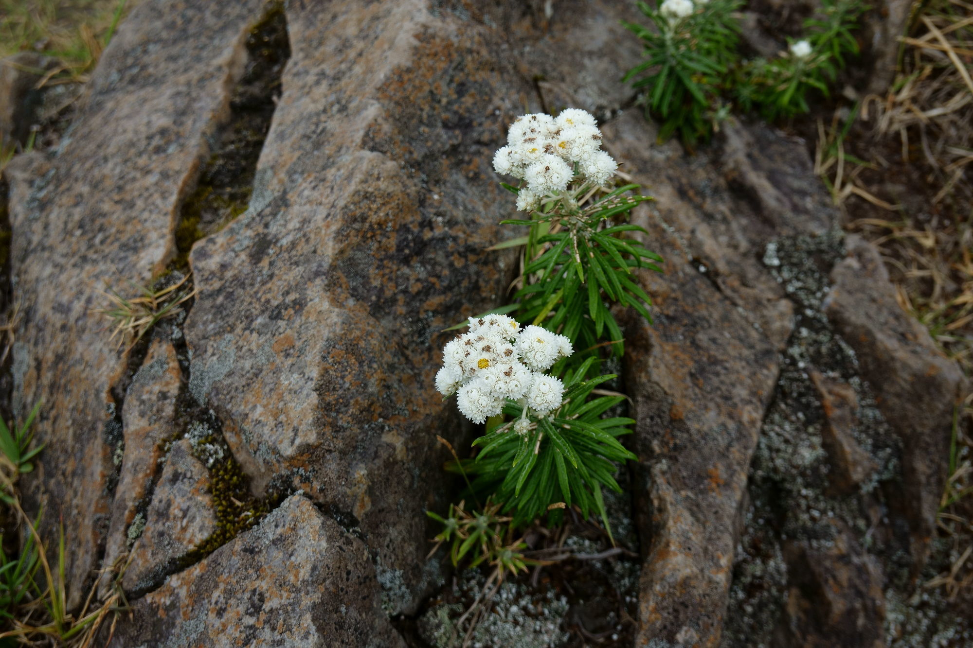 e0015567_15535482.jpg