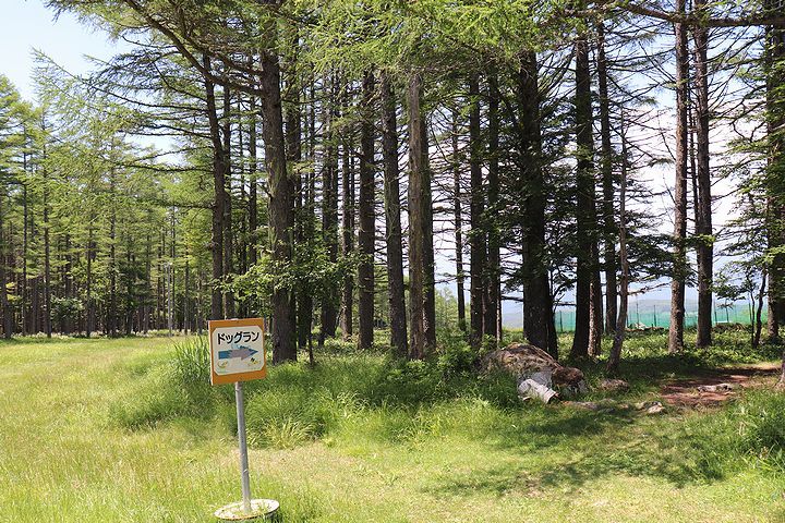 ちょっとだけランランね♪【信州旅行9】_b0111376_13304487.jpg