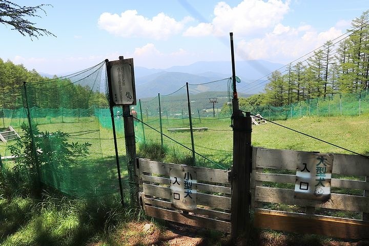 ちょっとだけランランね♪【信州旅行9】_b0111376_13330618.jpg