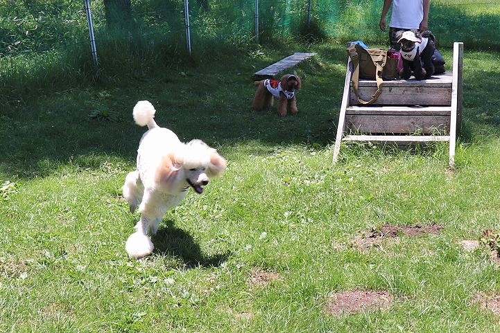 ちょっとだけランランね♪【信州旅行9】_b0111376_13353978.jpg