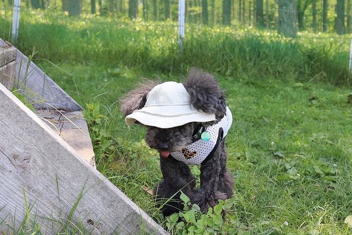 ちょっとだけランランね♪【信州旅行9】_b0111376_13383266.jpg
