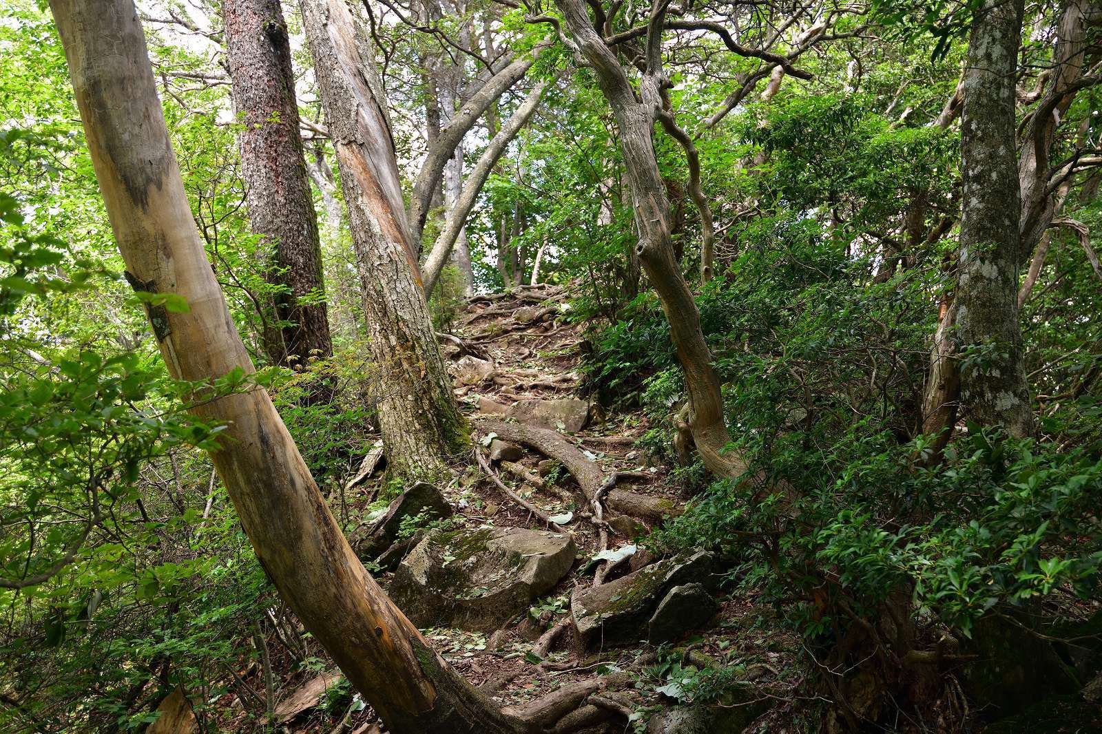 d0328977_13093016.jpg