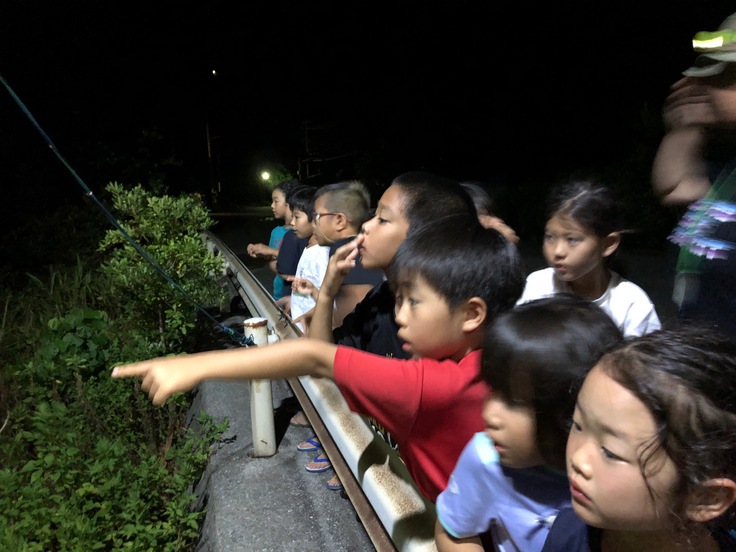 わんぱく冒険学校B〔３日目〕夜の探検ではたくさんの生き物に出会いました！天然記念物も2種類！_d0363878_2313090.jpg