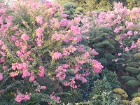 f0222378_8553184.jpg