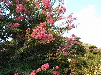 f0222378_8582049.jpg