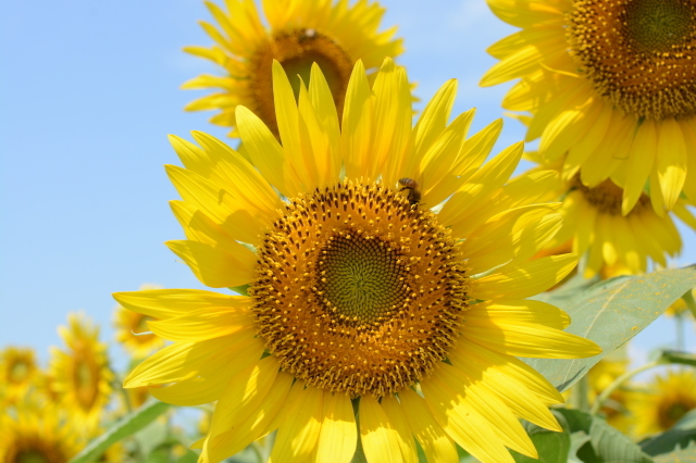 f0369780_17002517.jpg
