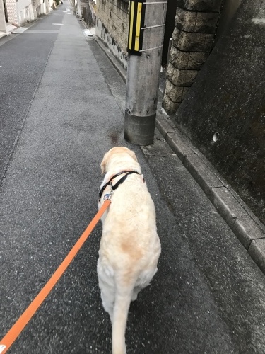 f0315081_22350038.jpeg
