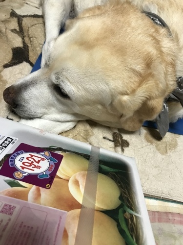 f0315081_22384424.jpeg