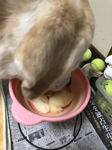 f0315081_22400286.jpeg