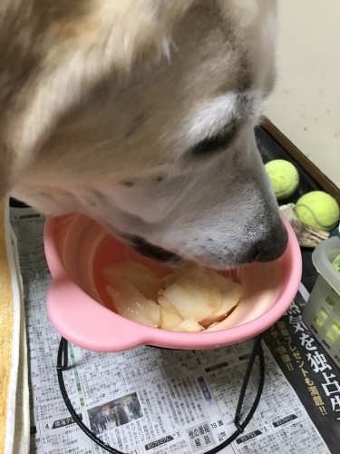 f0315081_22403098.jpeg