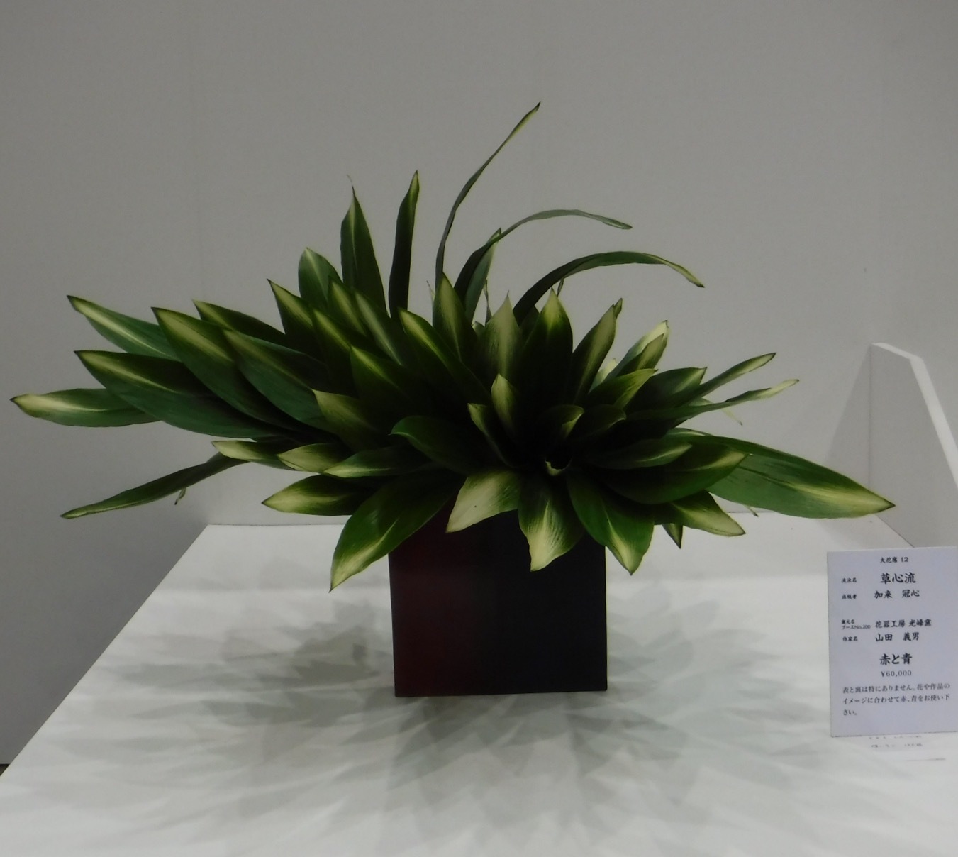 花と器との出会い_d0195183_06443087.jpeg