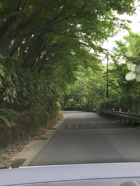 2018年8月2日    息苦しい_b0098584_21175046.jpeg