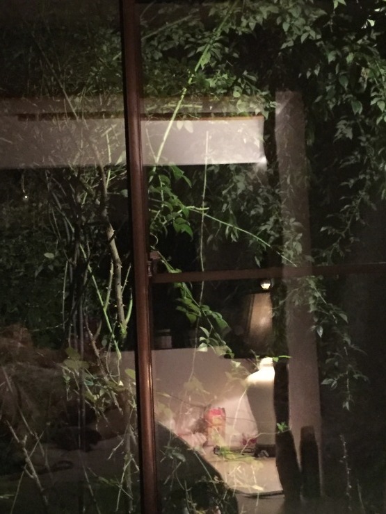 2018年8月2日    息苦しい_b0098584_21190931.jpeg