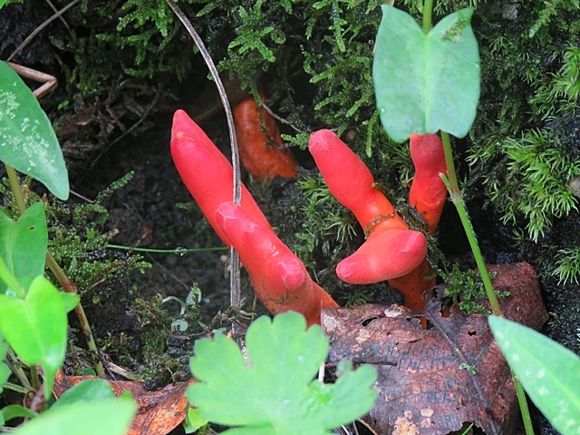f0357487_15453499.jpg