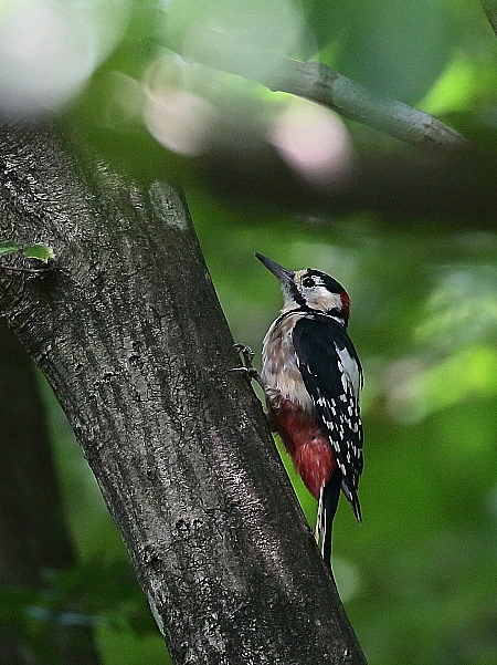 d0334291_14151099.jpg