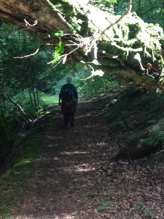b0110999_05211287.jpeg