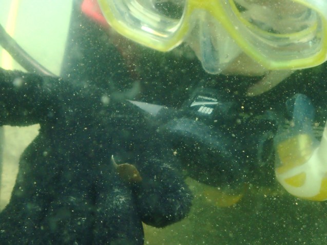 e0115199_13380193.jpg
