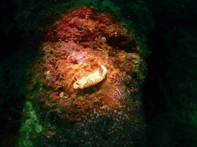 e0115199_14281577.jpg