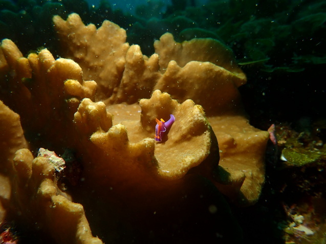 e0115199_14381100.jpg