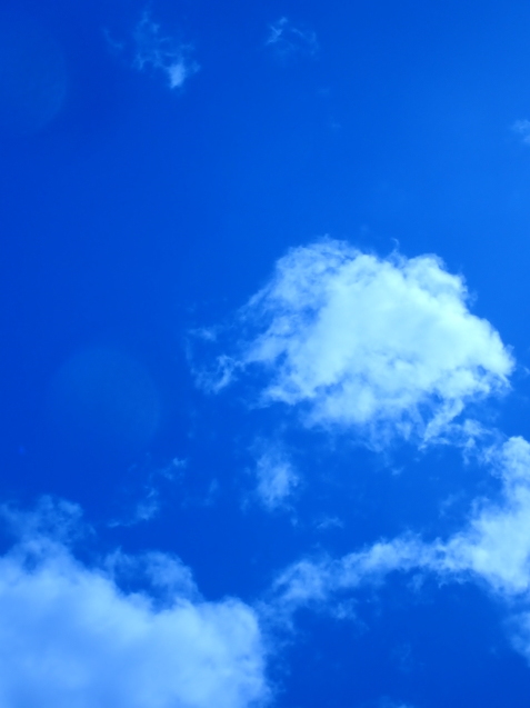 e0115199_15014171.jpg