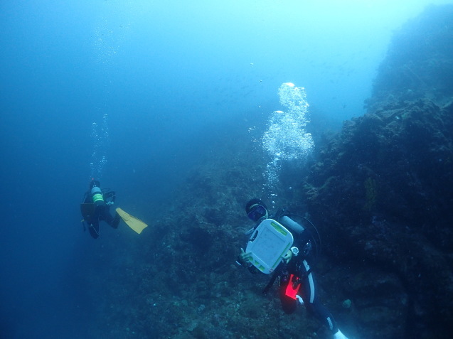 e0115199_16294402.jpg