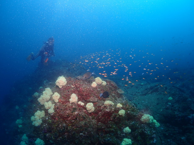 e0115199_16303151.jpg