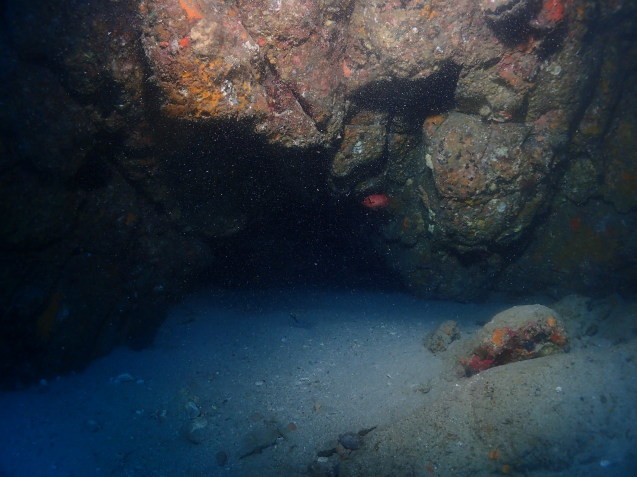 e0115199_16524113.jpg