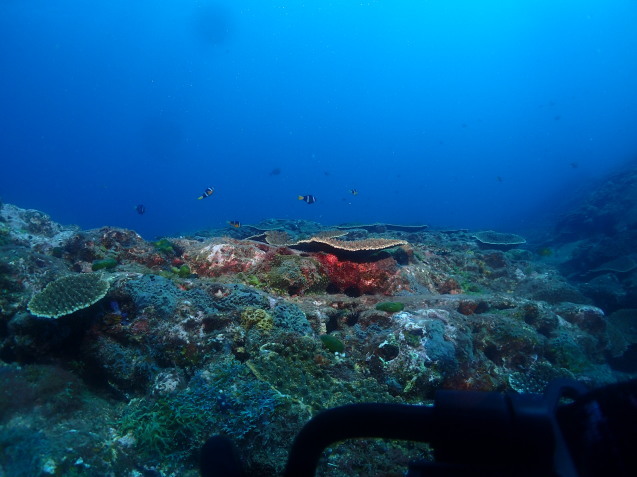 e0115199_16532110.jpg