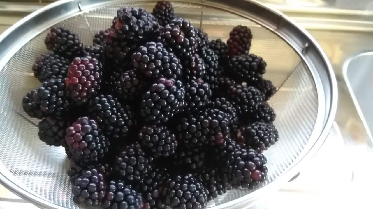 c0007502_00212041.jpg