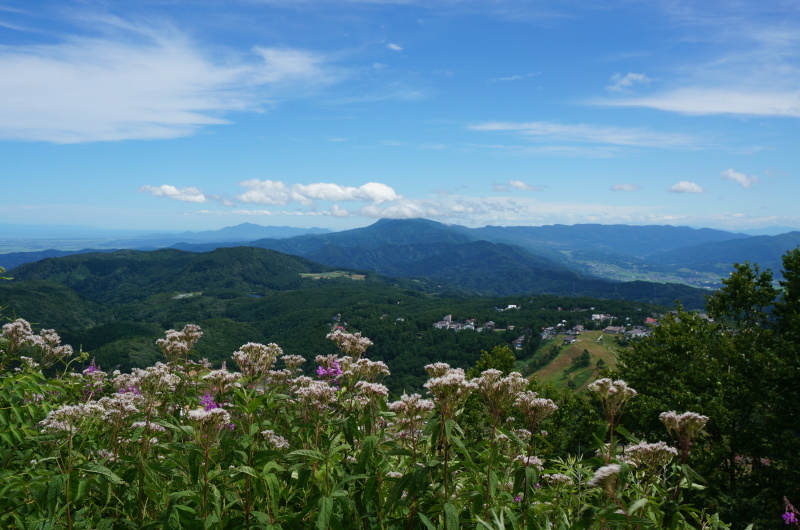 d0359010_14324038.jpg