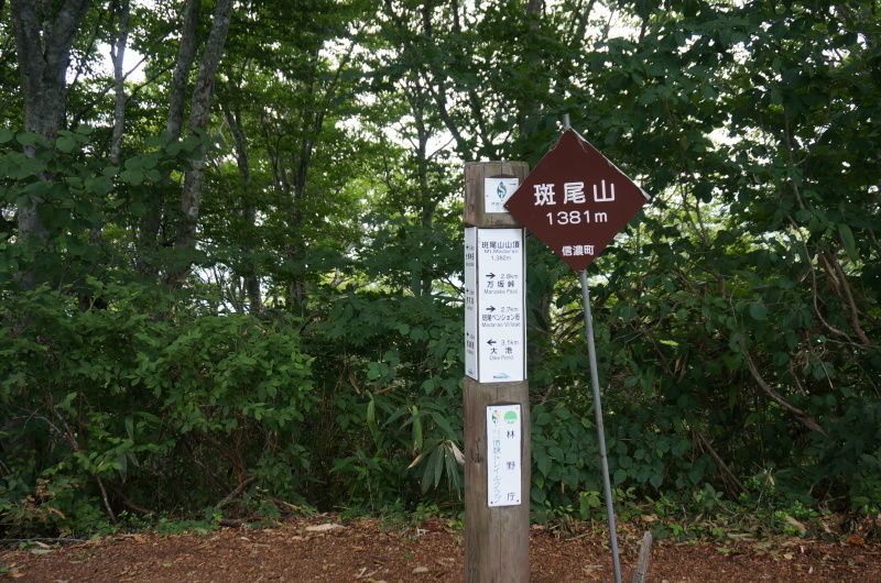 d0359010_14481787.jpg