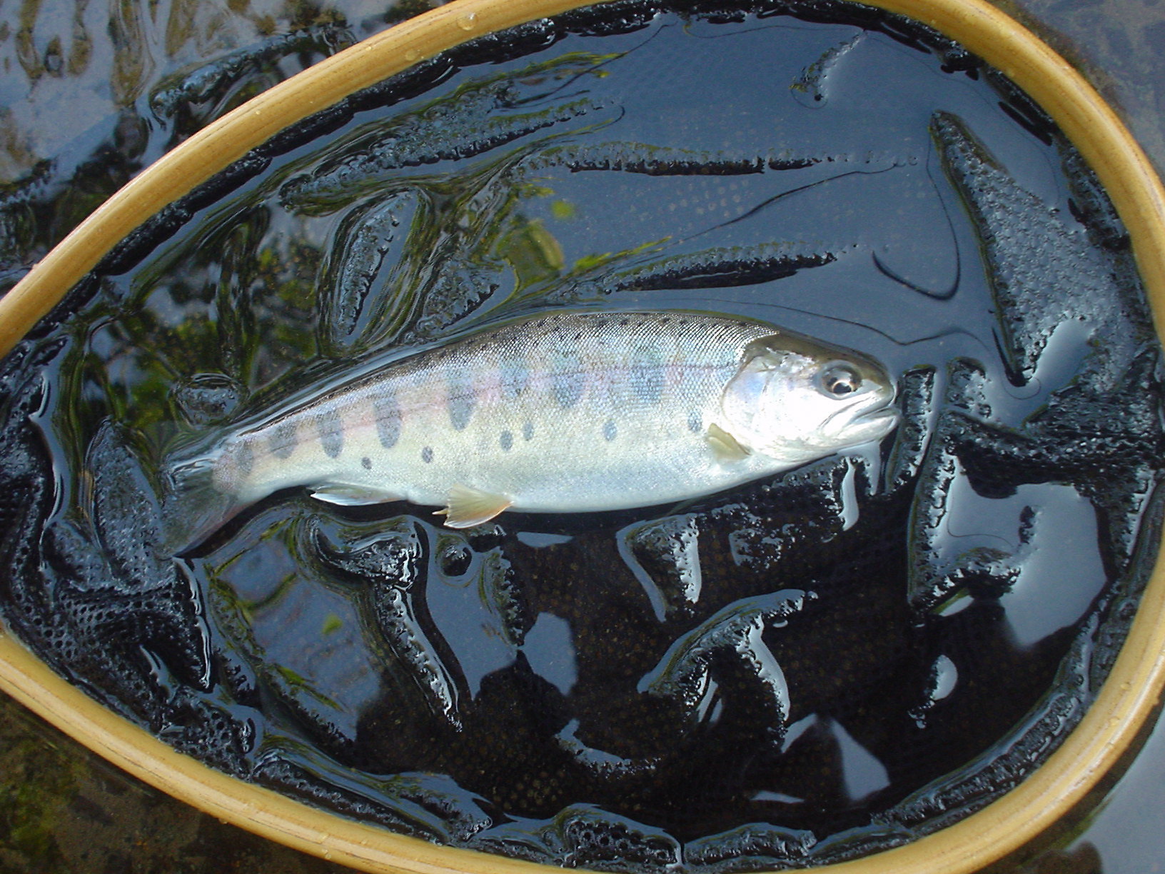 f0280717_13190266.jpg
