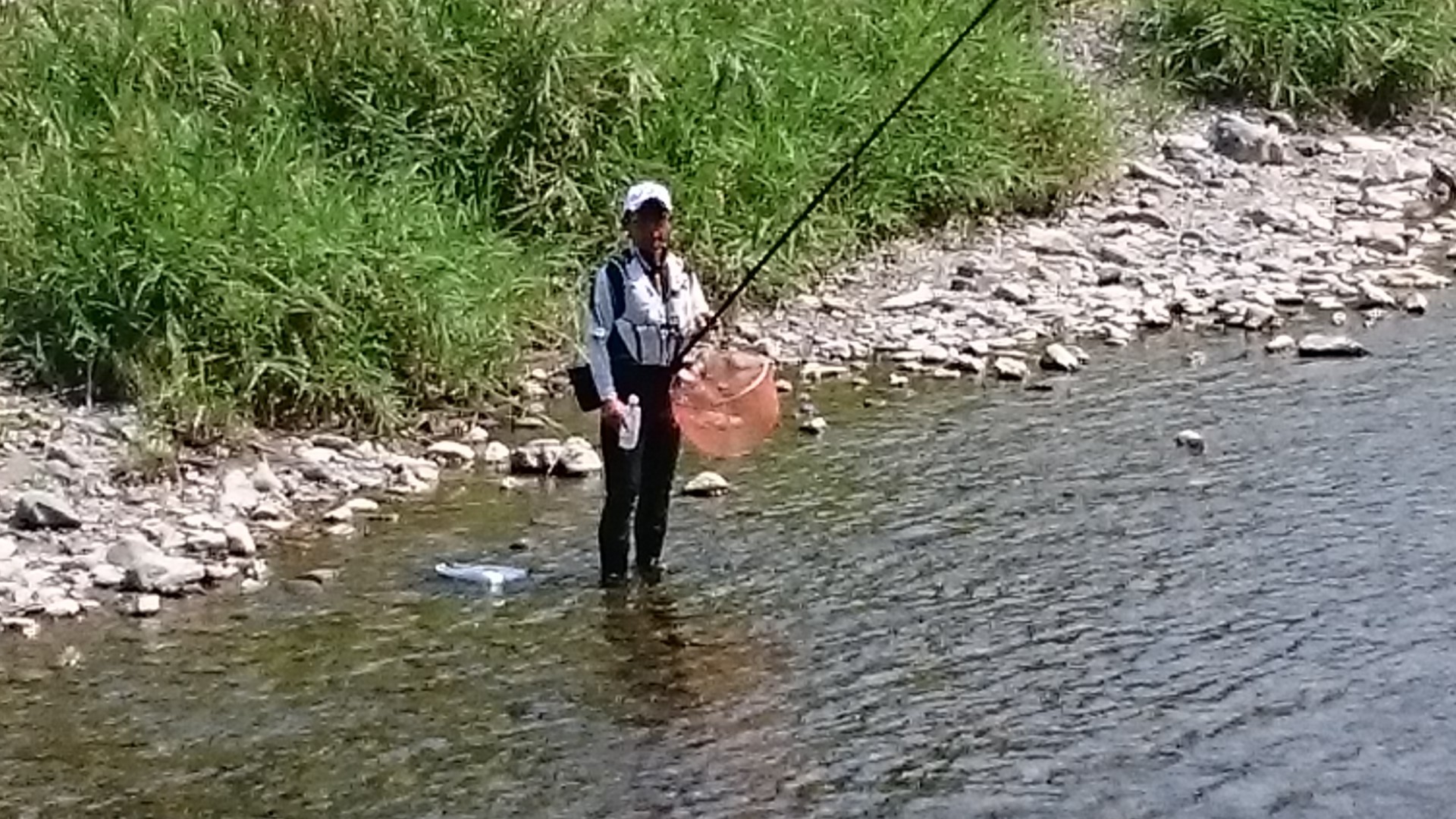 c0221718_17521873.jpg