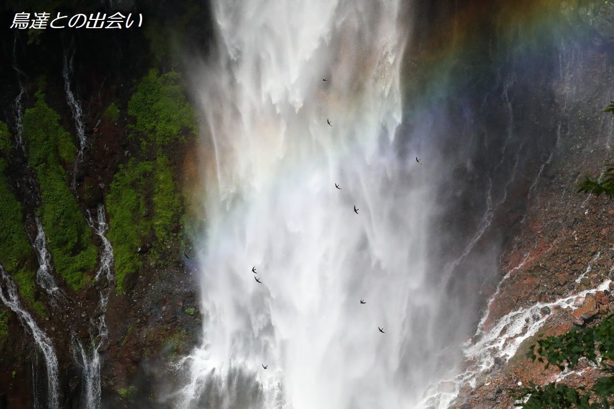 e0139623_19025564.jpg