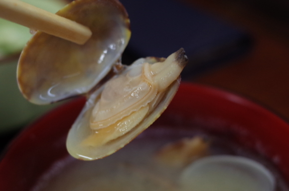 和食 ときわ　葛飾区亀有/和食 大衆食堂_a0287336_19304796.jpg