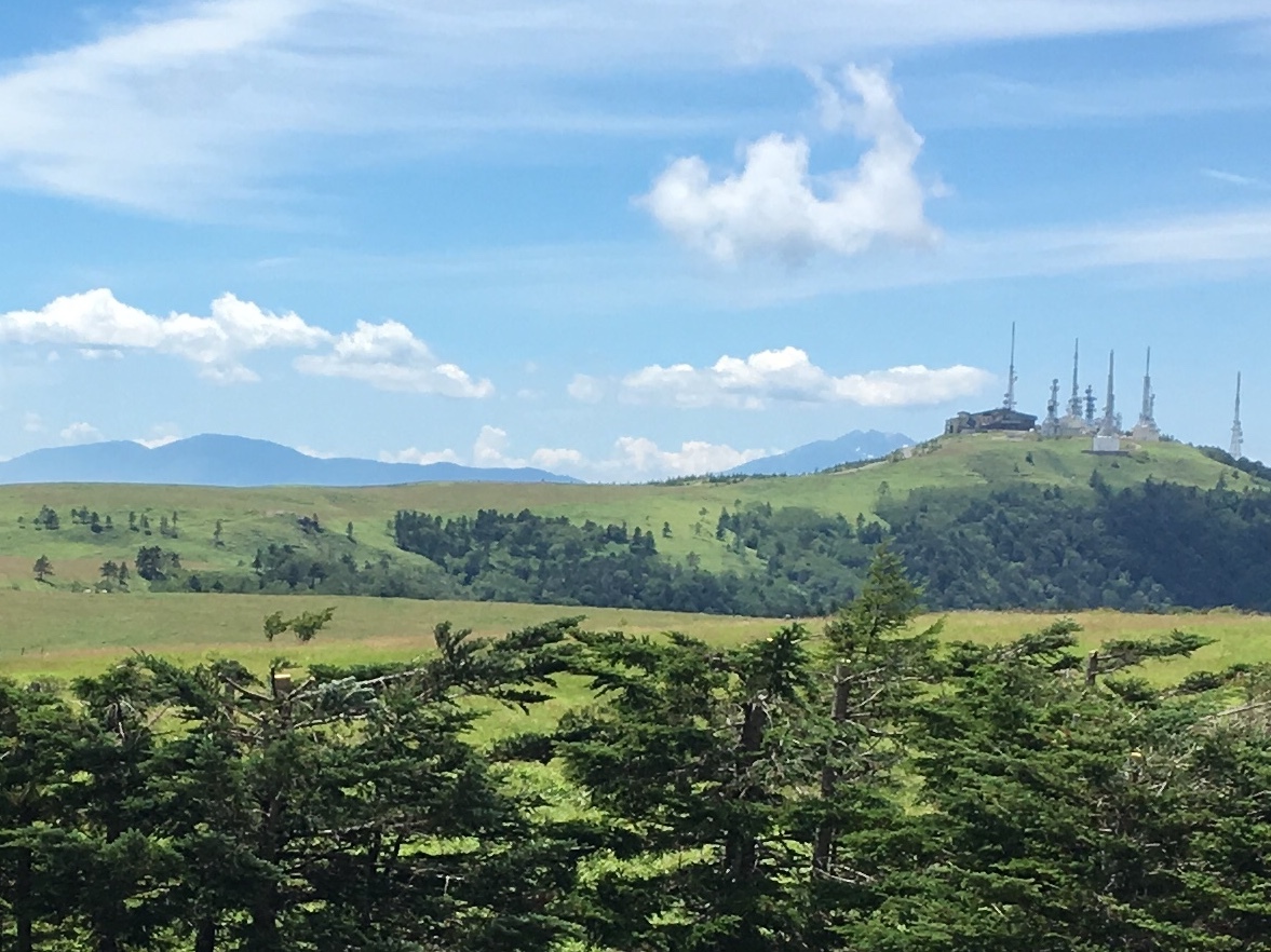 b0330040_17171220.jpeg