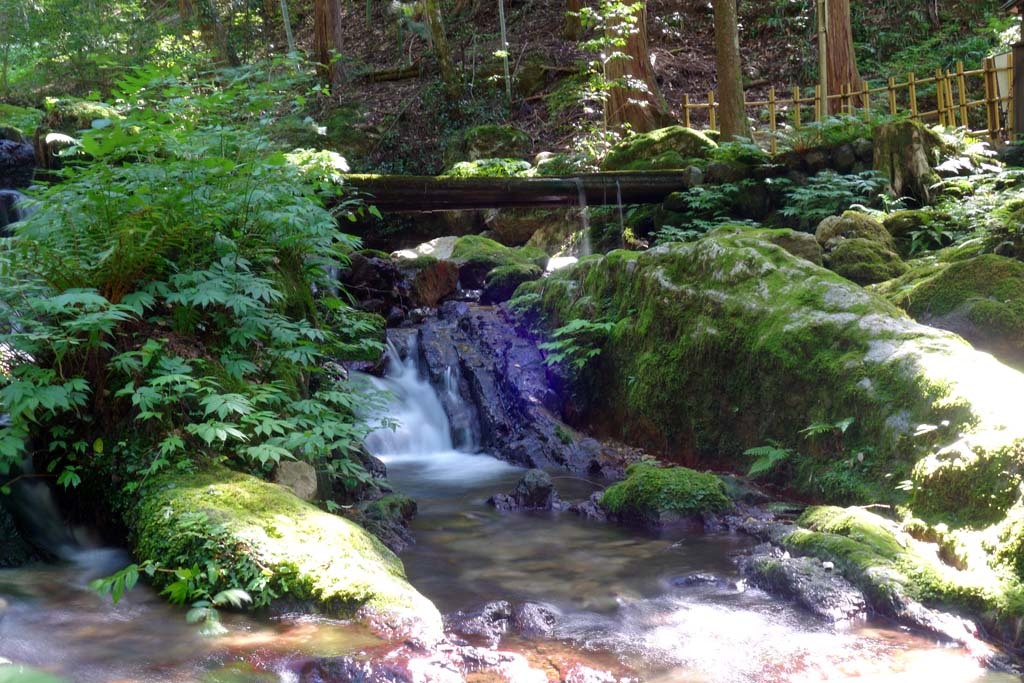 d0250840_00134584.jpg