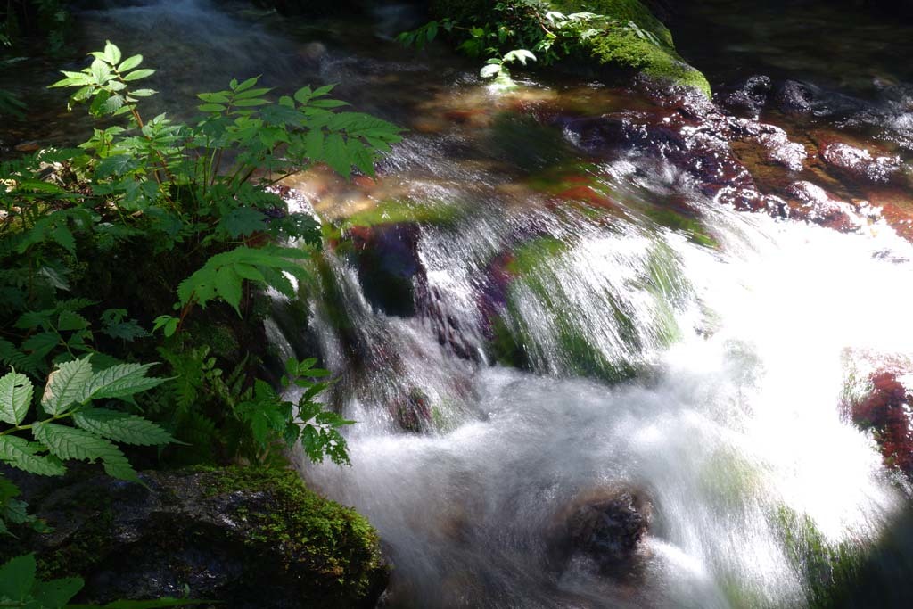 d0250840_00140159.jpg