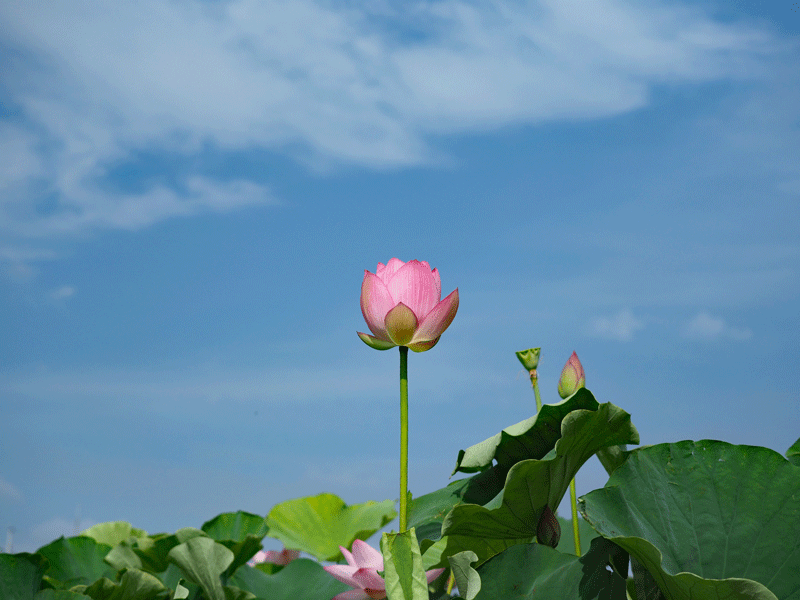 d0290240_09131580.gif