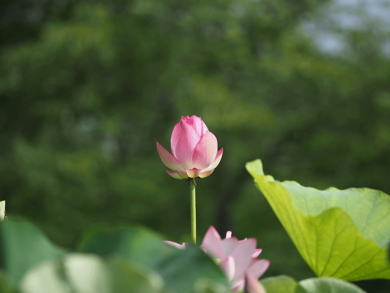 d0290240_09132396.gif