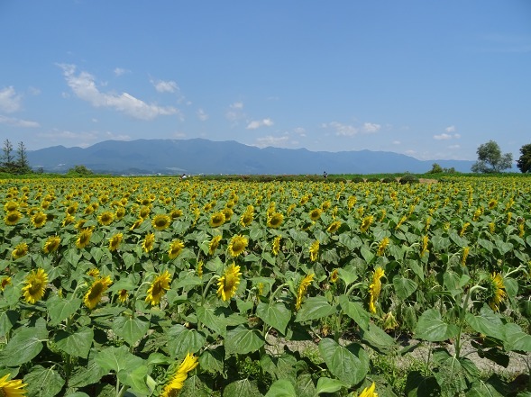 b0299042_17543650.jpg