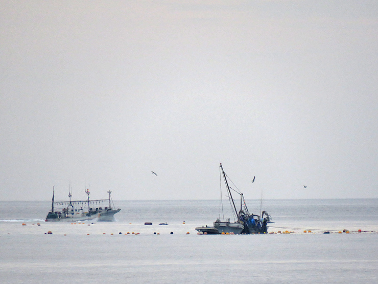 f0214649_04352106.jpg