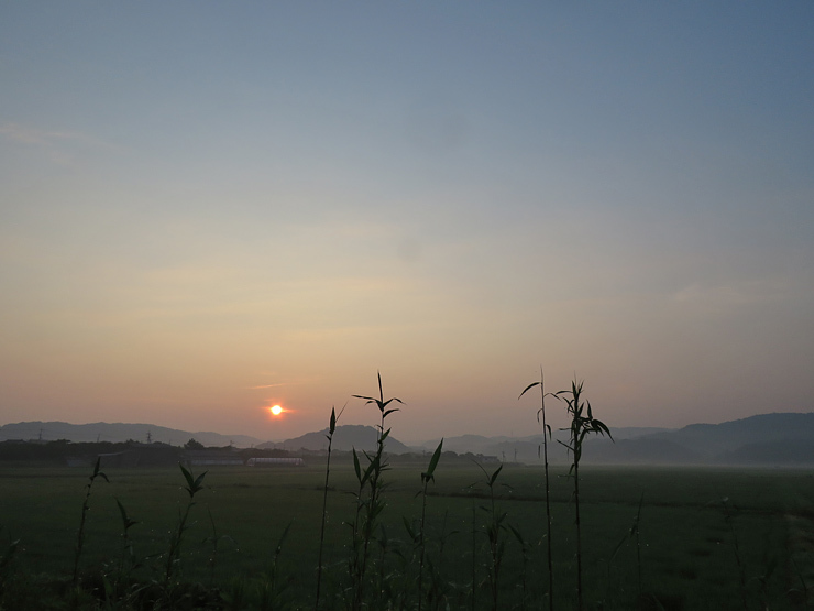 f0214649_04382666.jpg