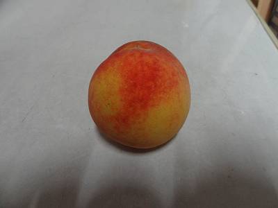 e0033751_18174653.jpg
