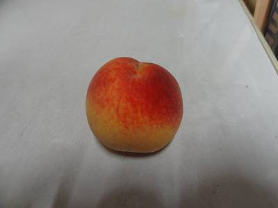 e0033751_18174675.jpg