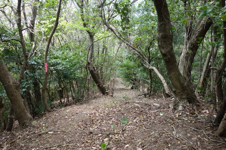 d0345153_21030147.jpg