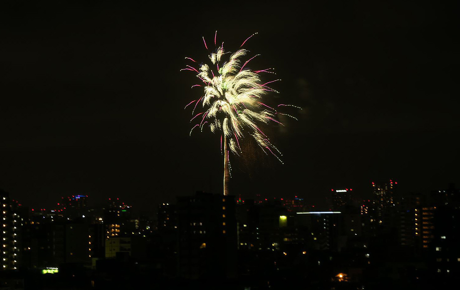 e0129656_22574911.jpg
