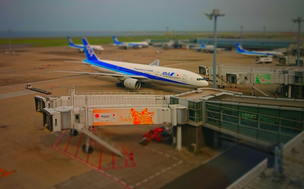 d0039059_07131055.jpg