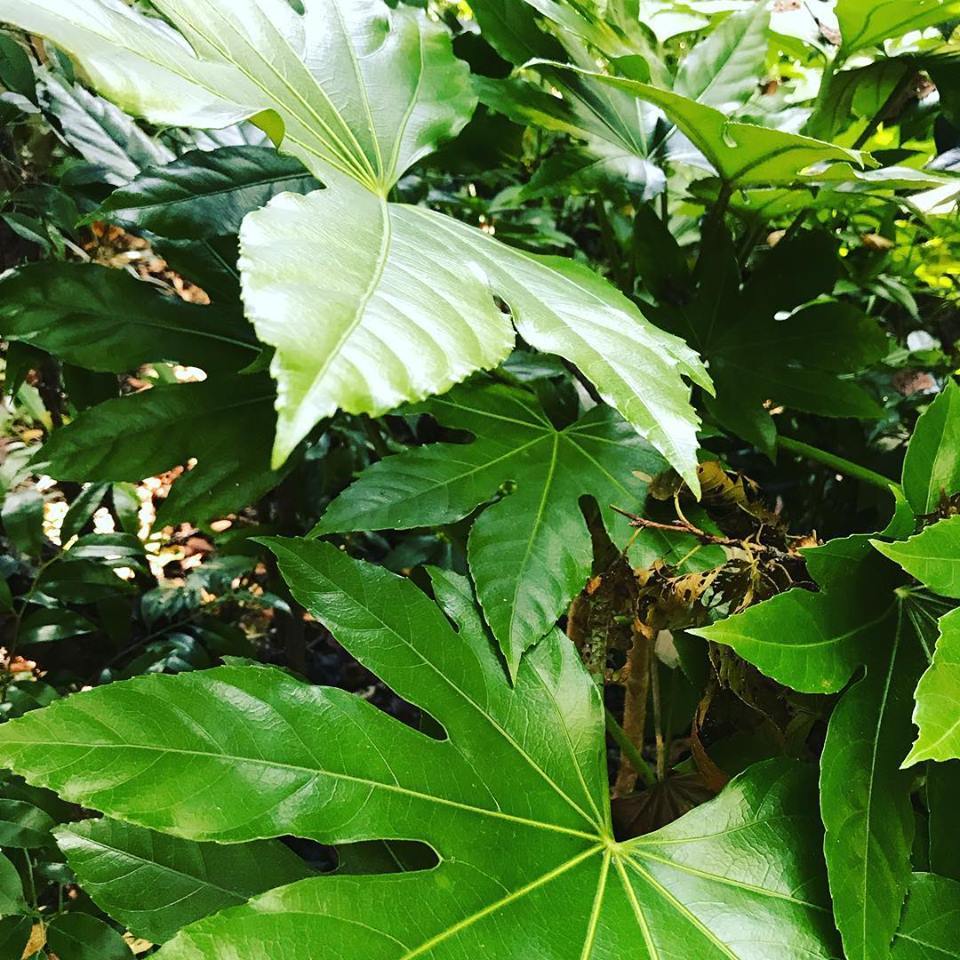 c0115560_12023371.jpg
